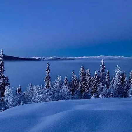 Al With Panoramic Views