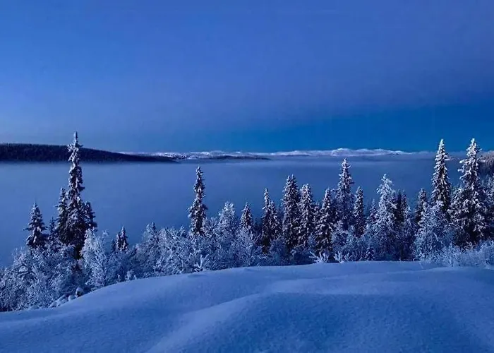 Al With Panoramic Views